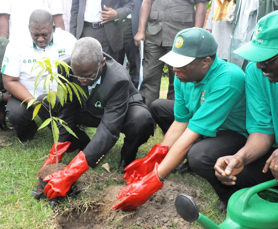 Image result for tree planting nigeria
