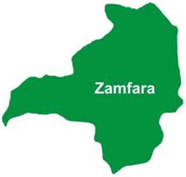 Zamfara generating only N150m IGR monthly – Commissioner