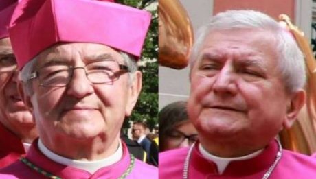 Two Catholic Bishops Sanctioned Over Sexual Abuse