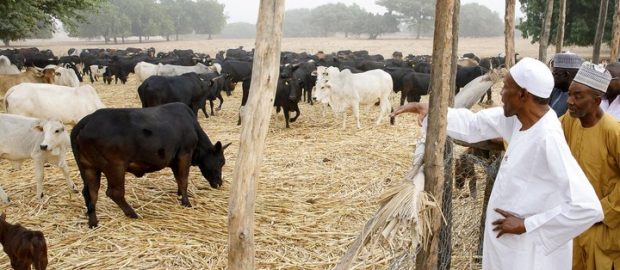 Nigeria’s Economy Booming Because People Went Back To Farm