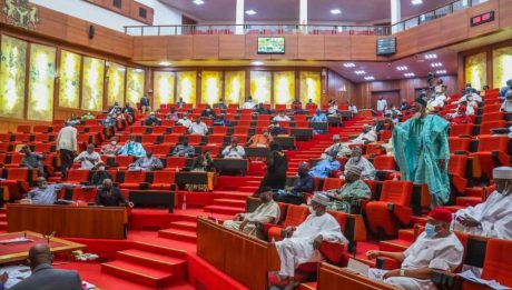 Senate passes bill to grant LG financial, administrative autonomy