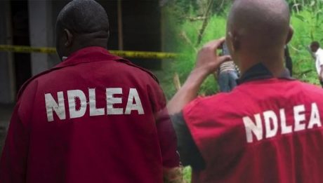 NDLEA Arraigns Basil Okafo For Possession Of 2.1kg Heroin