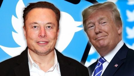 Elon Musk Says To Lift ‘Stupid’ Twitter Ban On Donald Trump