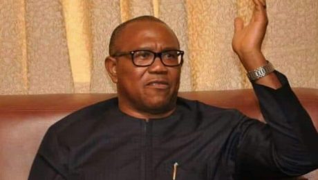 70% Of Nigerian Politicians Are Lunatics – Peter Obi